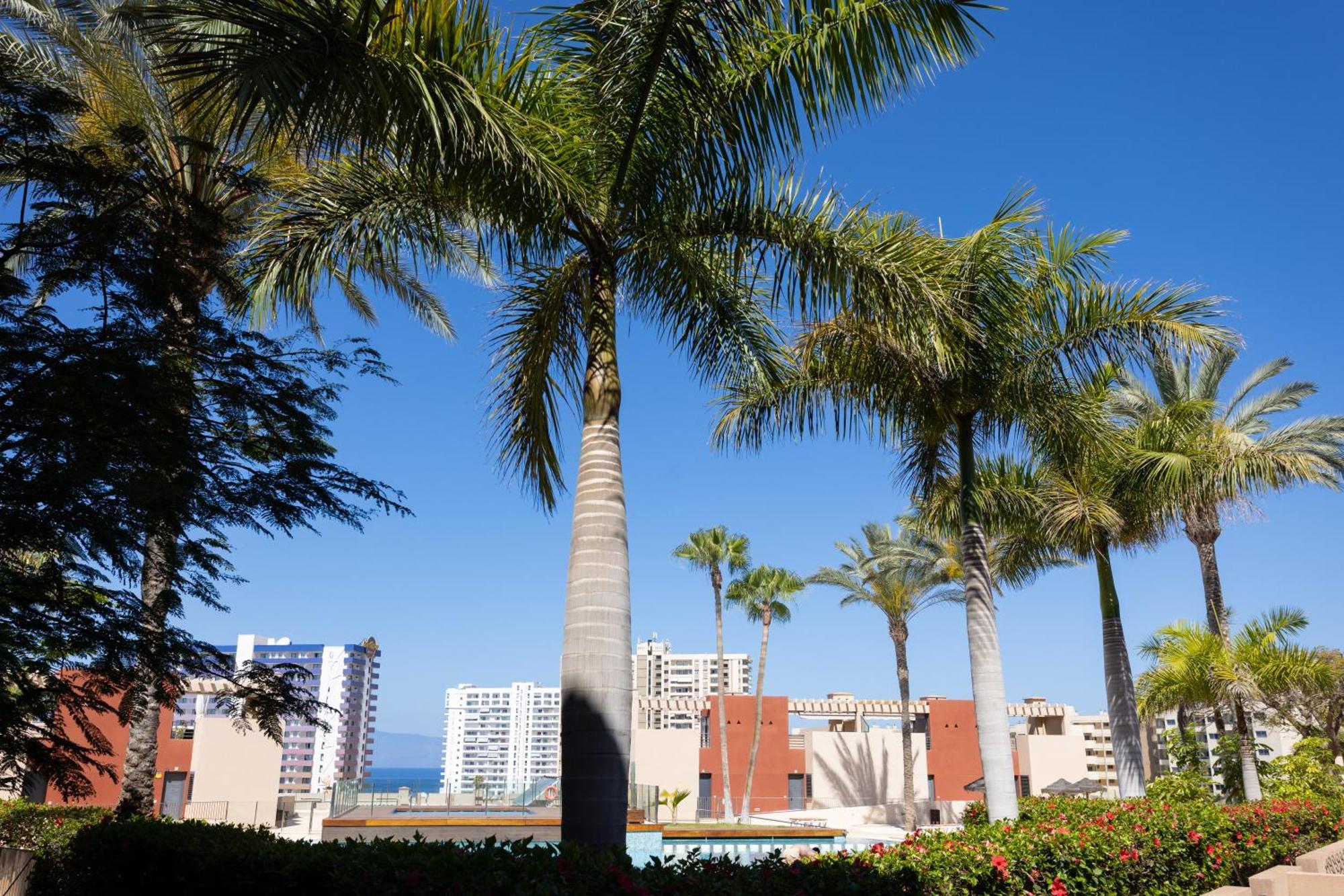 Casa Julia Apartment ปลายาปาไรโซ ภายนอก รูปภาพ